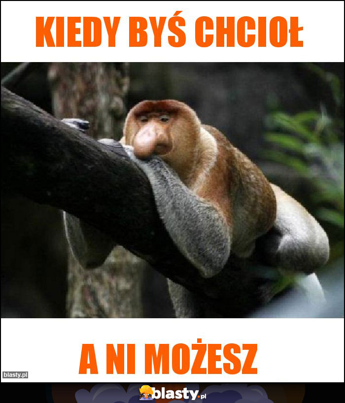 Kiedy byś chcioł