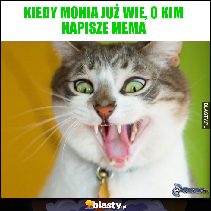 Kiedy Monia już wie, o kim napisze mema