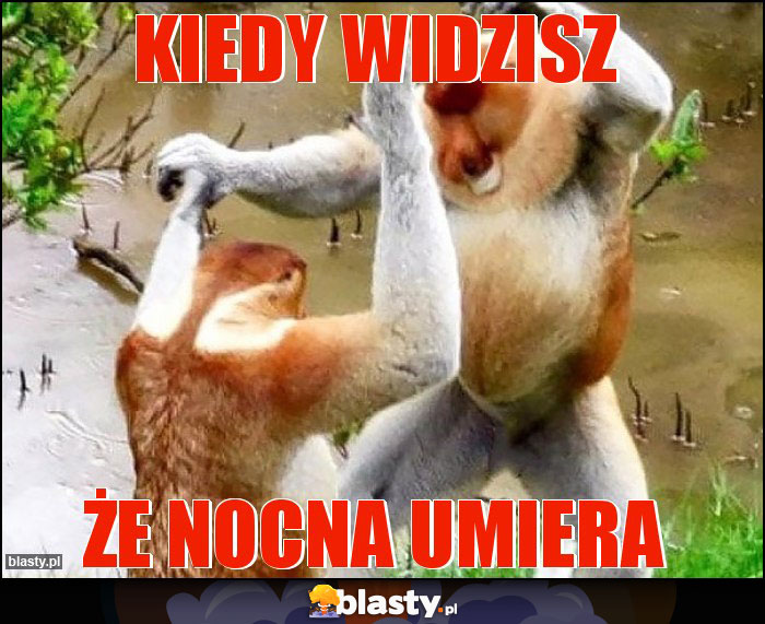 Kiedy widzisz