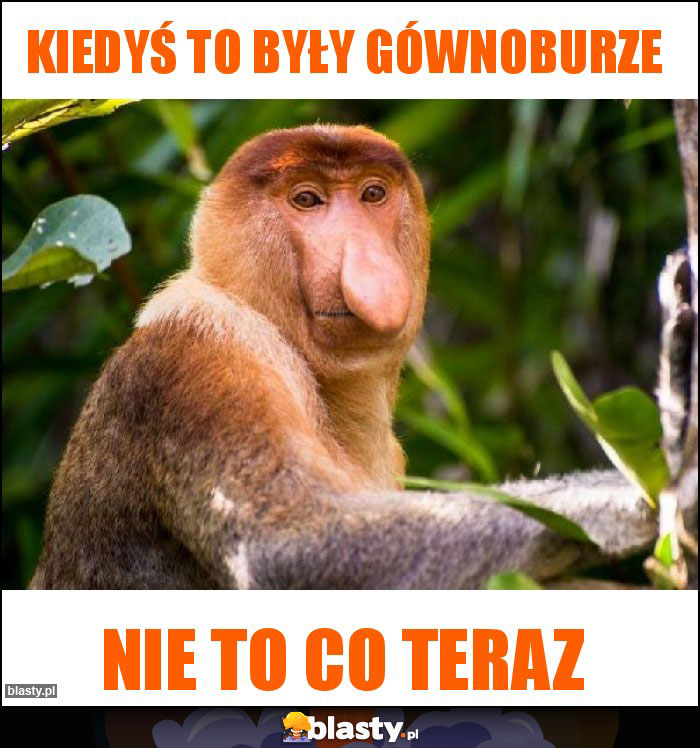 Kiedyś to były gównoburze