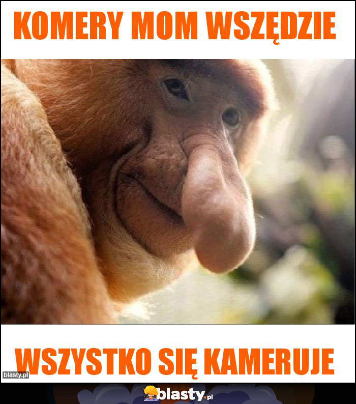 Komery mom wszędzie