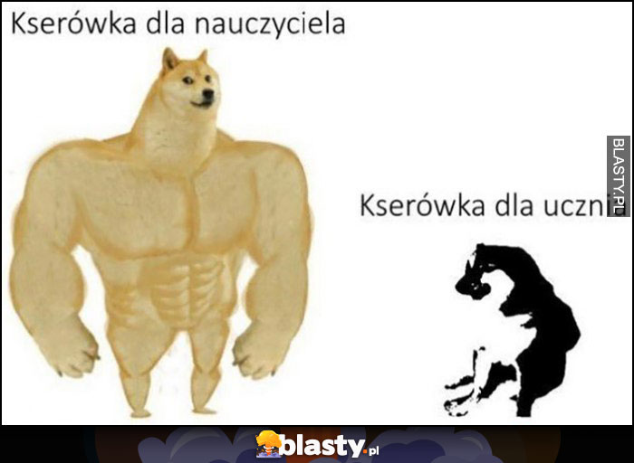 Kserówka dla nauczyciela vs xero dla ucznia pies pieseł doge