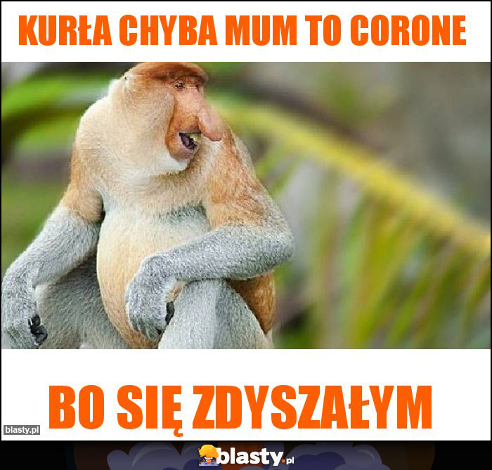 Kurła chyba mum to corone