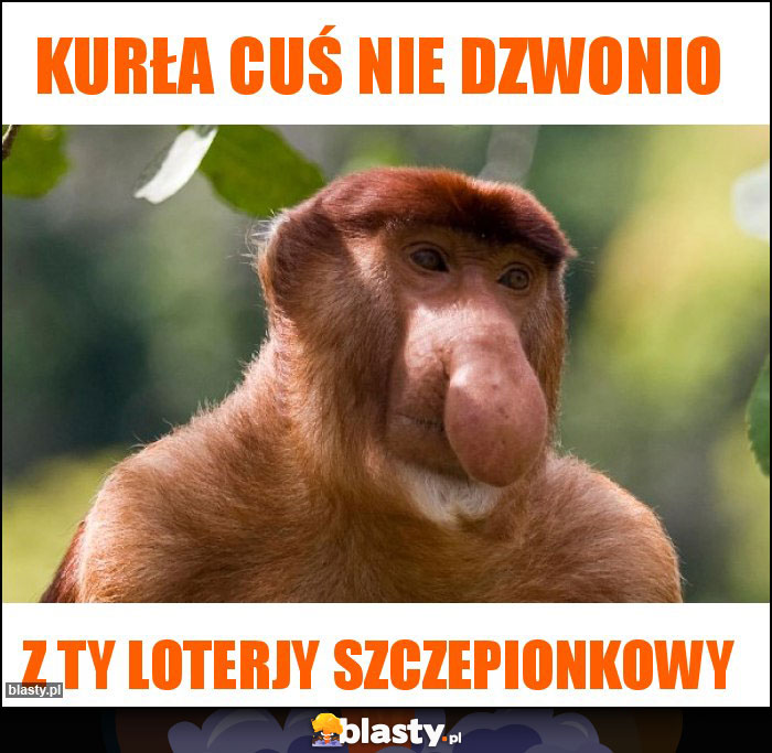 Kurła cuś nie dzwonio