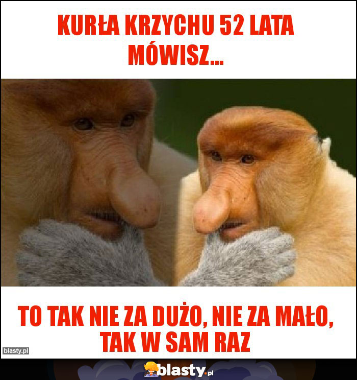 Kurła Krzychu 52 lata mówisz...