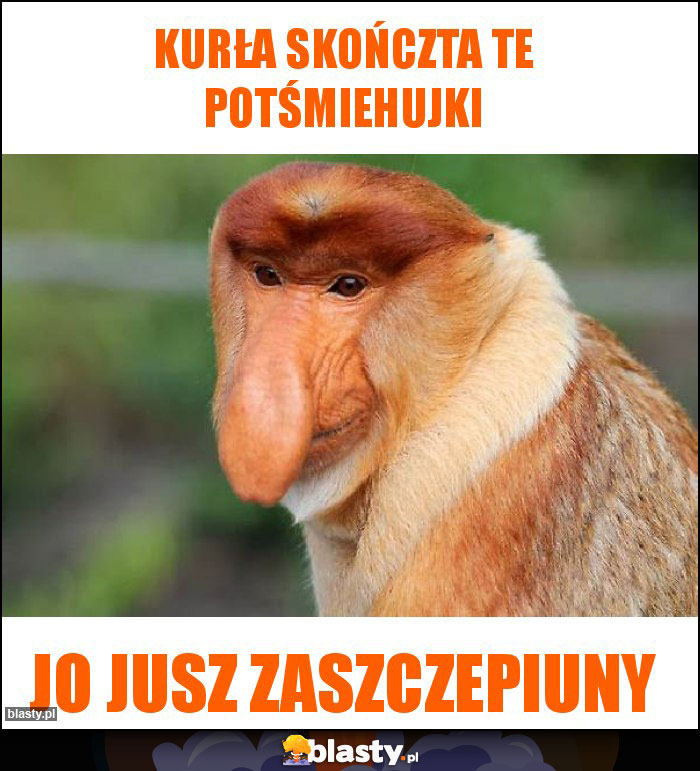 Kurła skończta te potśmiehujki