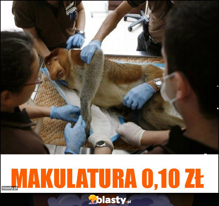 MAKULATURA 0,10 ZŁ