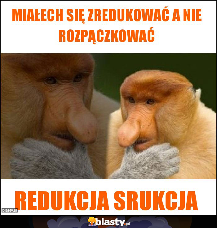 MIAŁECH SIĘ ZREDUKOWAĆ A NIE ROZPĄCZKOWAĆ