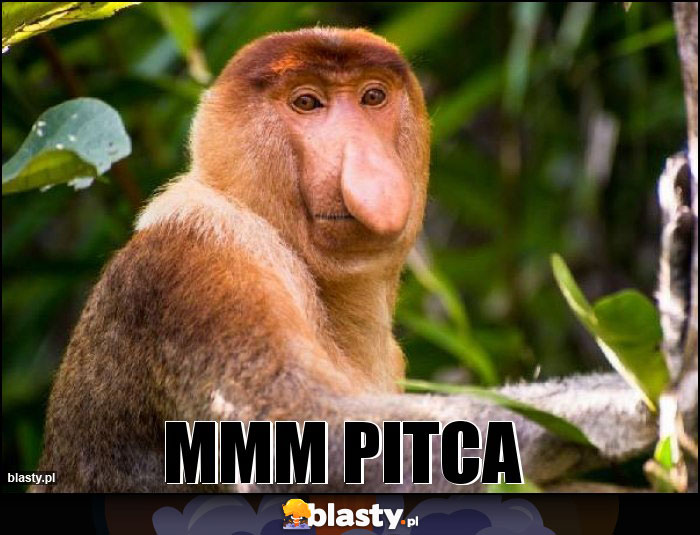 mmm pitca