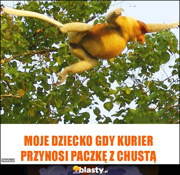 MOJE DZIECKO GDY KURIER PRZYNOSI PACZKĘ Z CHUSTĄ