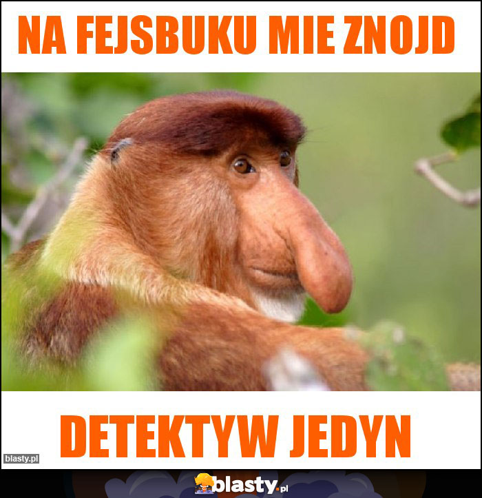 Na fejsbuku mie znojd