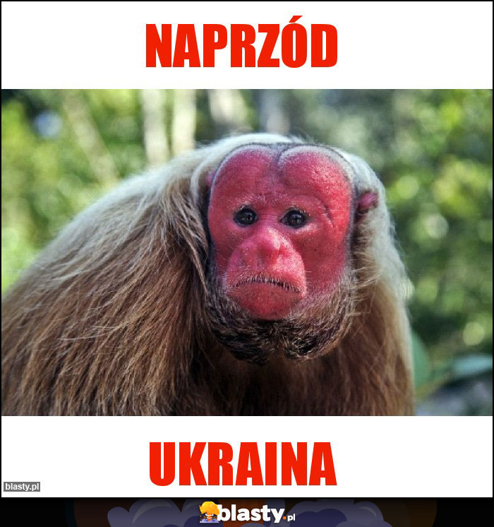 Naprzód