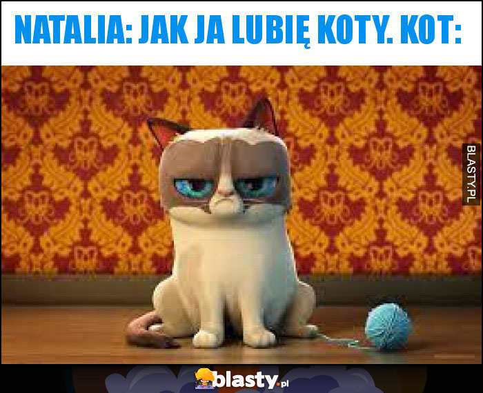 Natalia: Jak ja lubię koty. Kot: