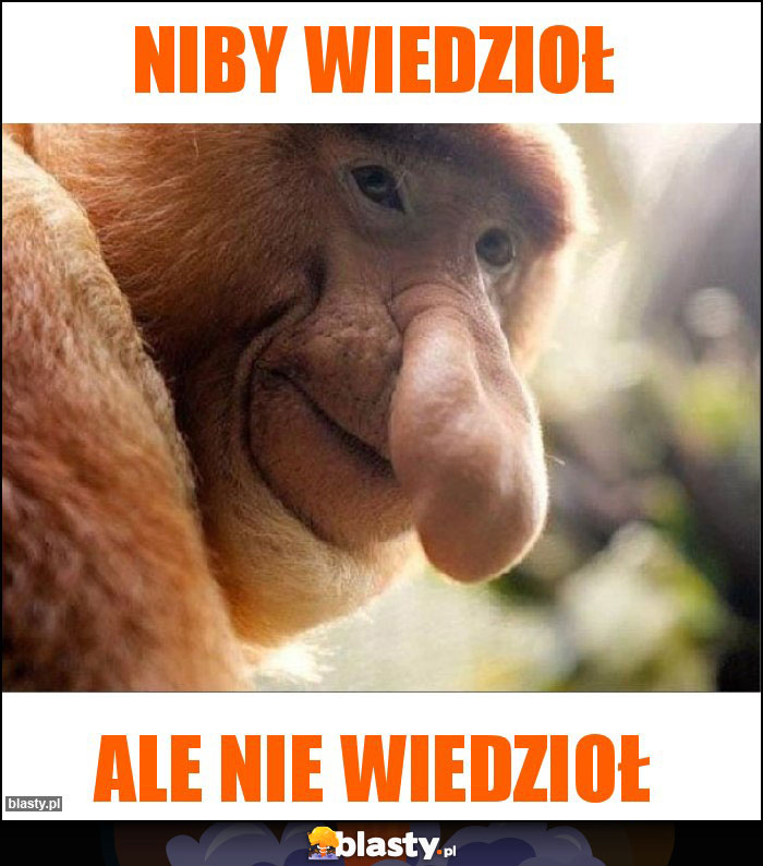 Niby wiedzioł