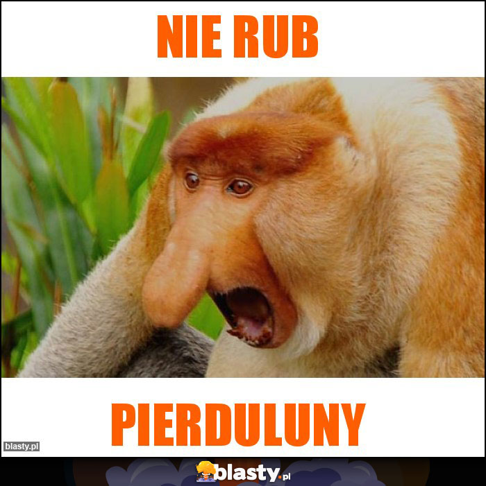 NIE RUB