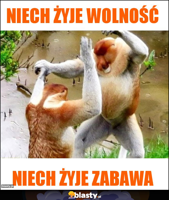 Niech żyje wolność