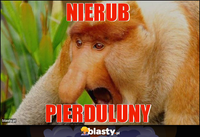 NIERUB