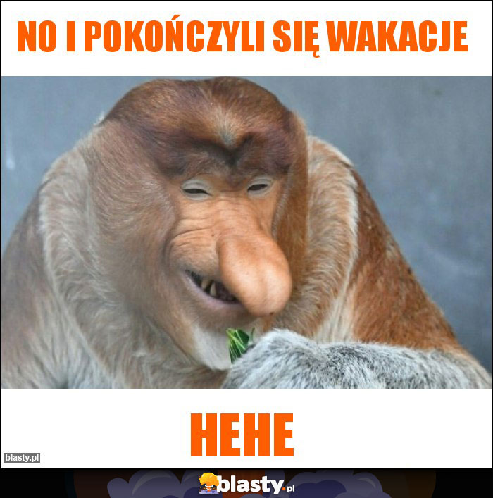 No i pokończyli się wakacje