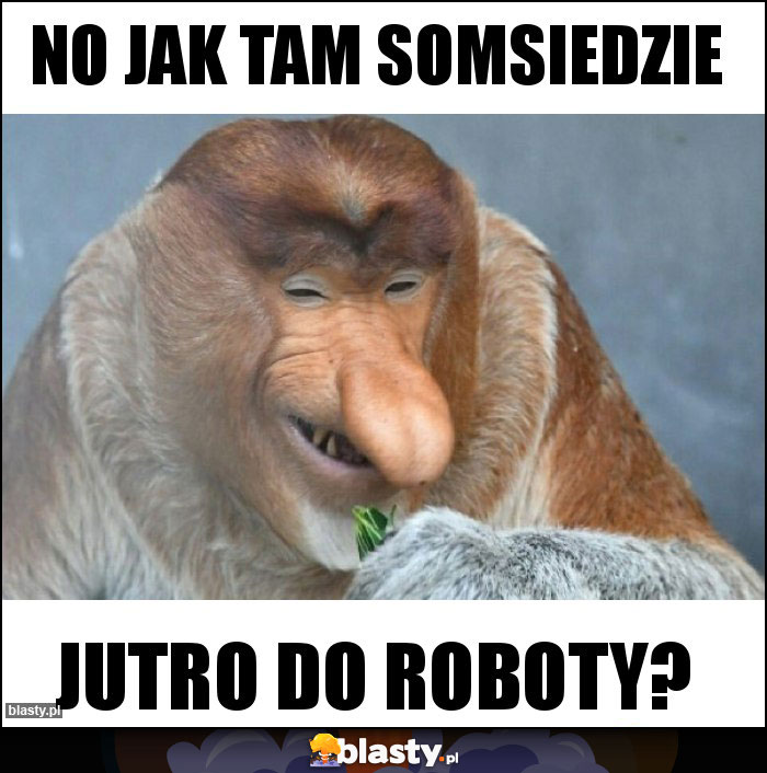 No jak tam somsiedzie