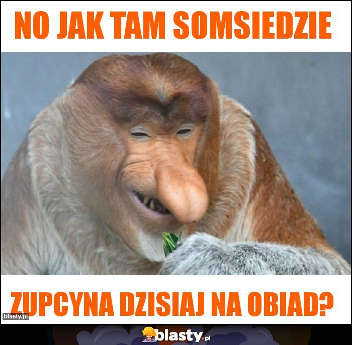 No jak tam somsiedzie