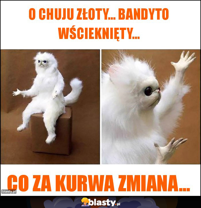 O chuju złoty... Bandyto wścieknięty...