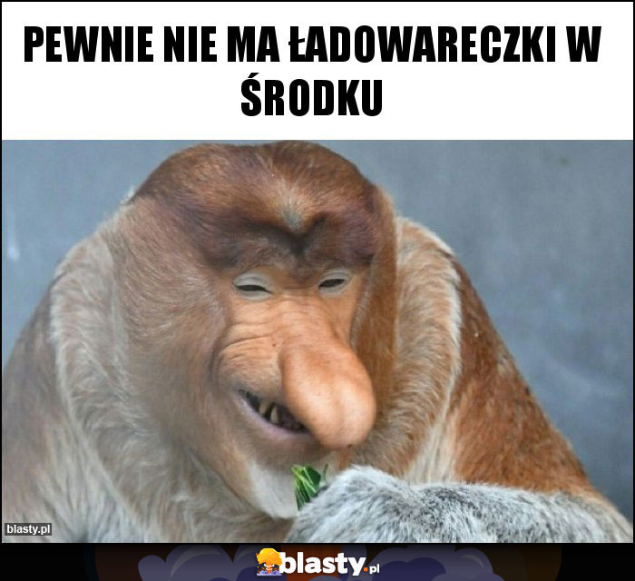 Pewnie nie ma ładowareczki w środku