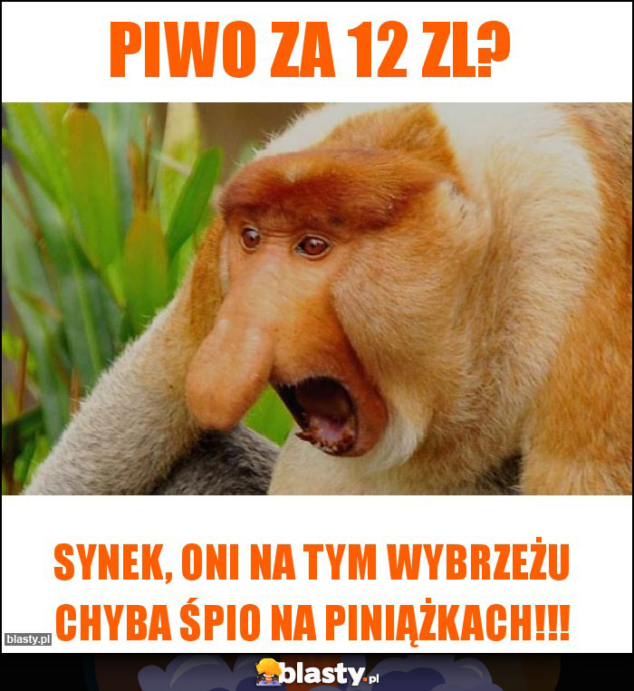 Piwo za 12 zl?