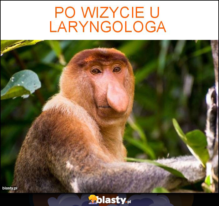 Po wizycie u laryngologa