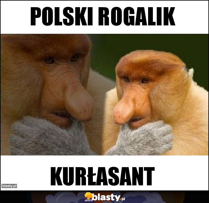 Polski rogalik