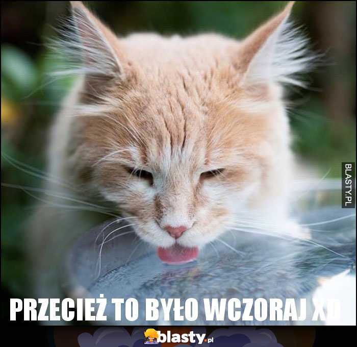 Przecież to było wczoraj XD