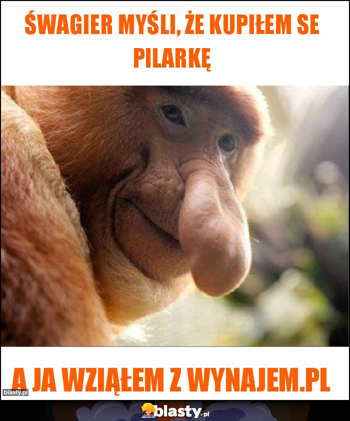 Śwagier myśli, że kupiłem se pilarkę