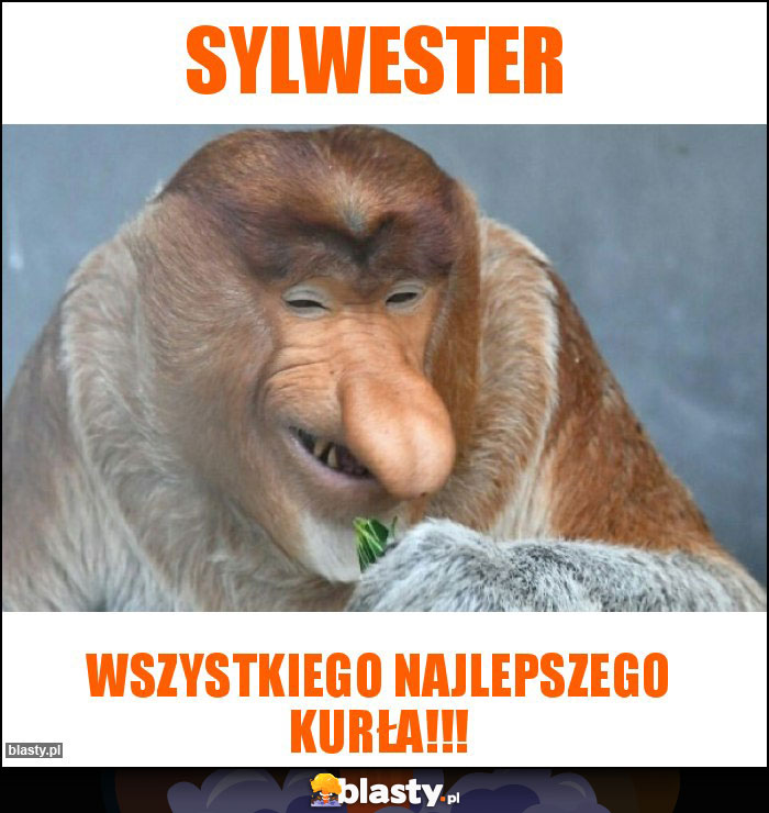 Sylwester