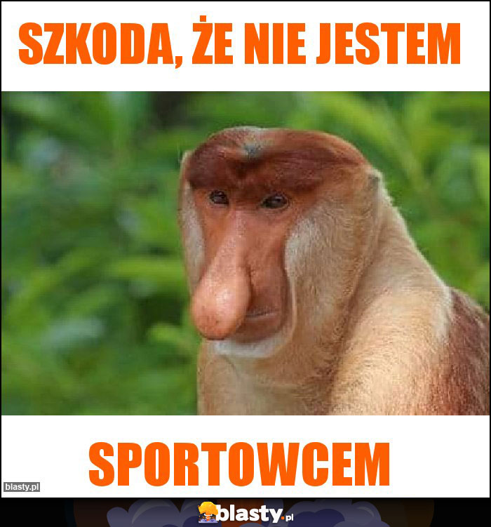 Szkoda, że nie jestem