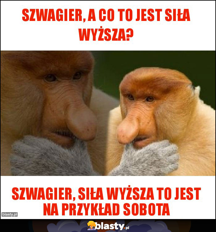 Szwagier, a co to jest siła wyższa?