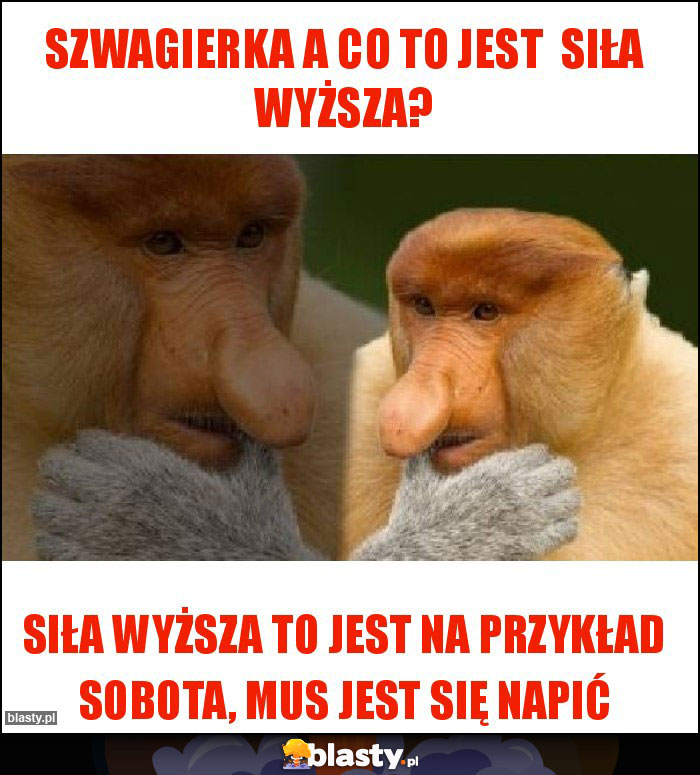 Szwagierka a co to jest  siła wyższa?