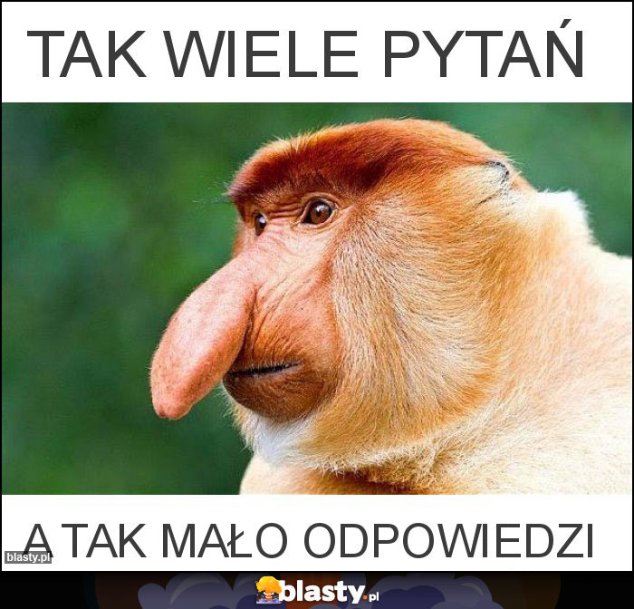 tak wiele pytań