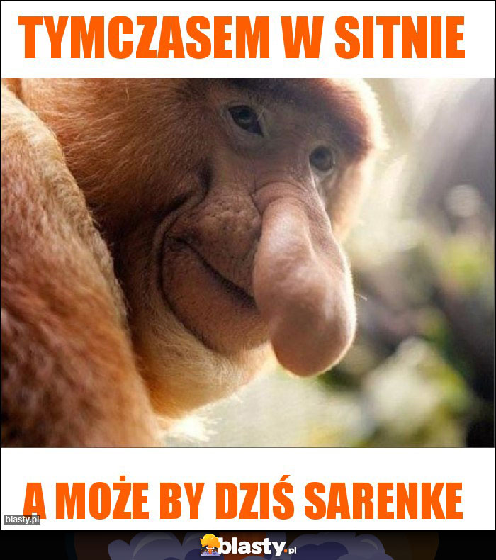 Tymczasem w sitnie