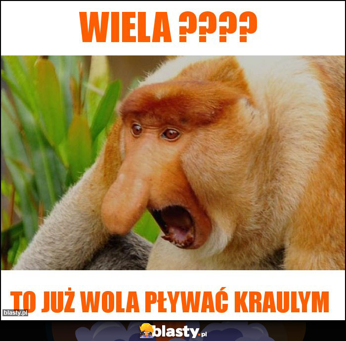 Wiela ????