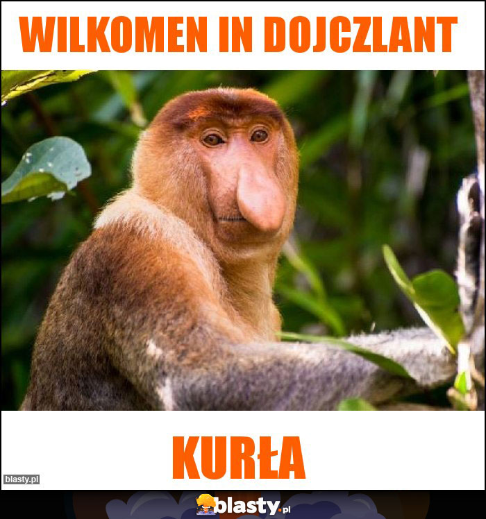 Wilkomen in dojczlant