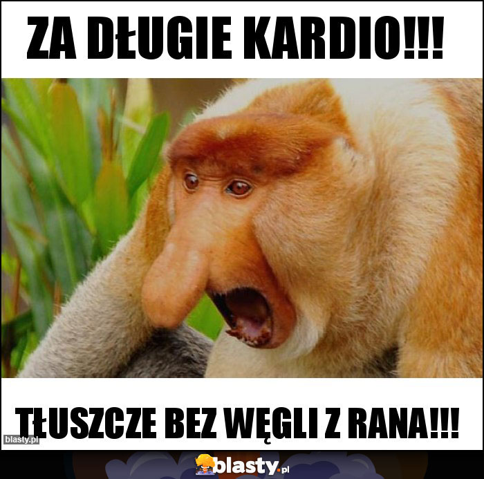 Za długie kardio!!!