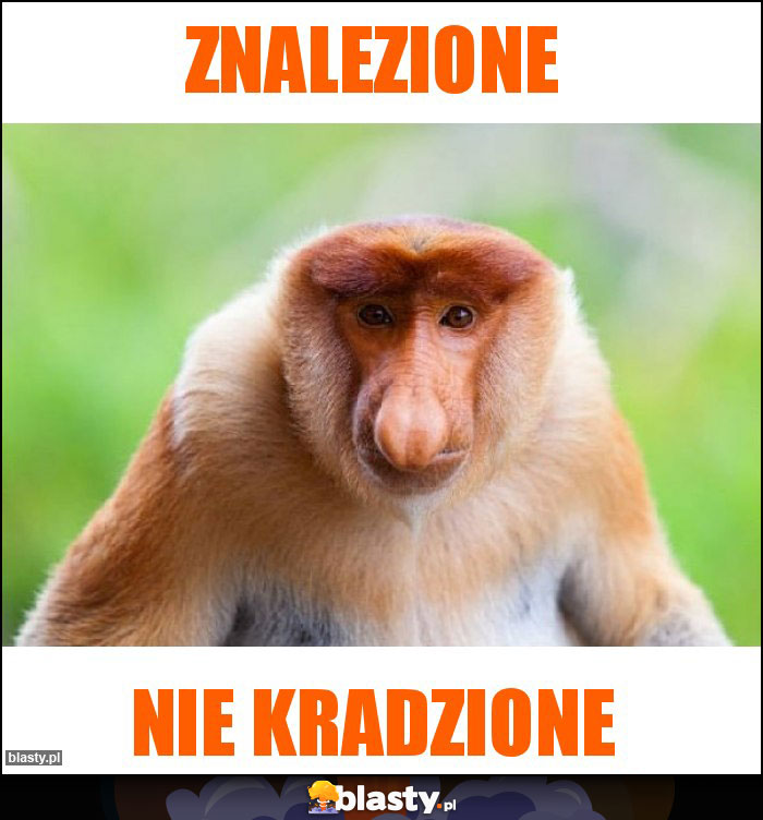 Znalezione