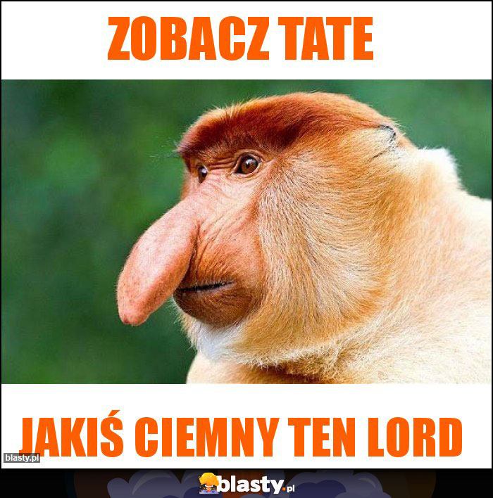 Zobacz Tate