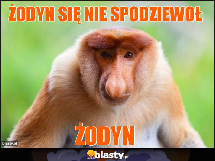 Żodyn się nie spodziewoł