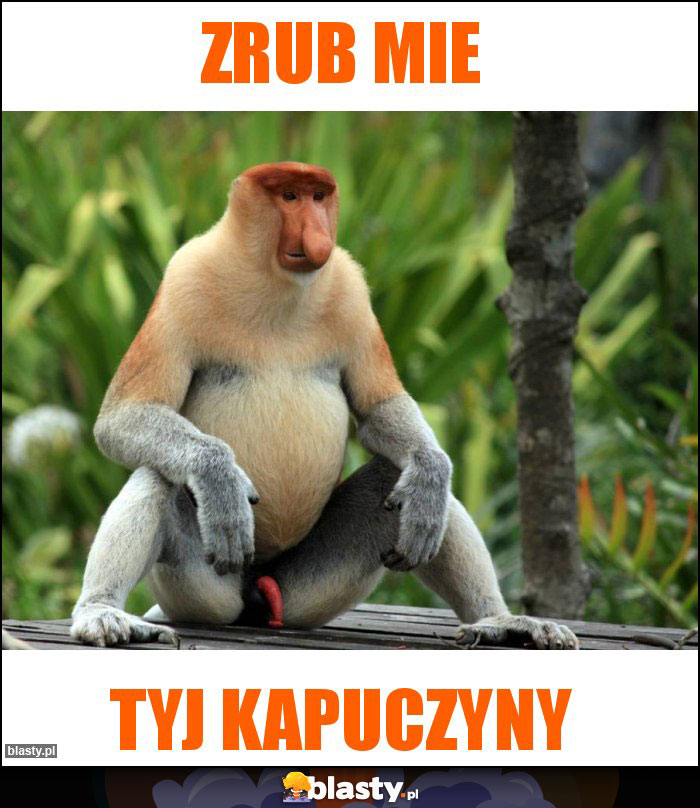 Zrub mie