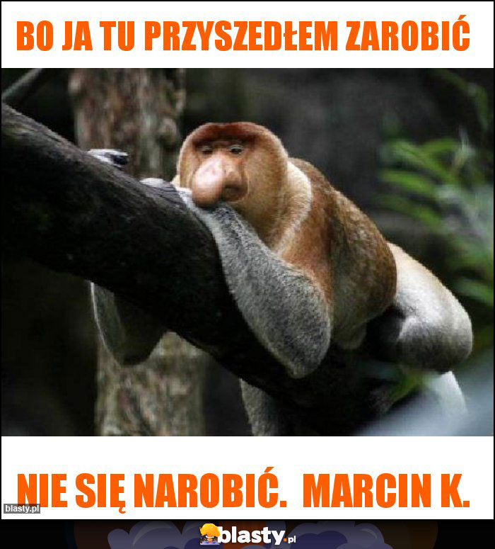 Bo ja tu przyszedłem zarobić