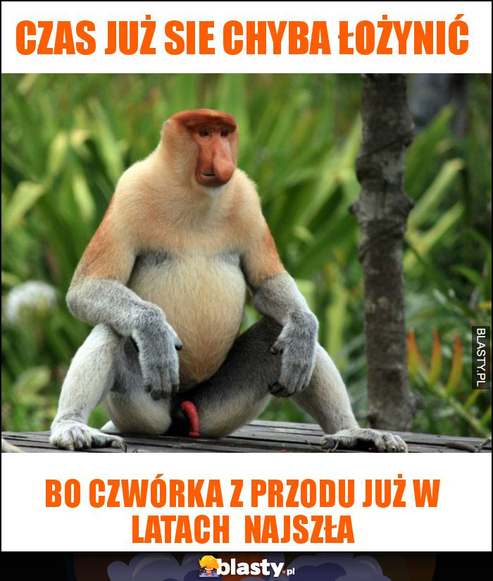 czas już sie chyba łożynić