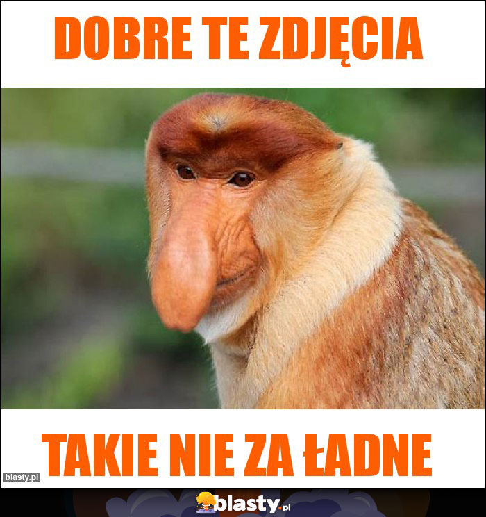 Dobre te zdjęcia