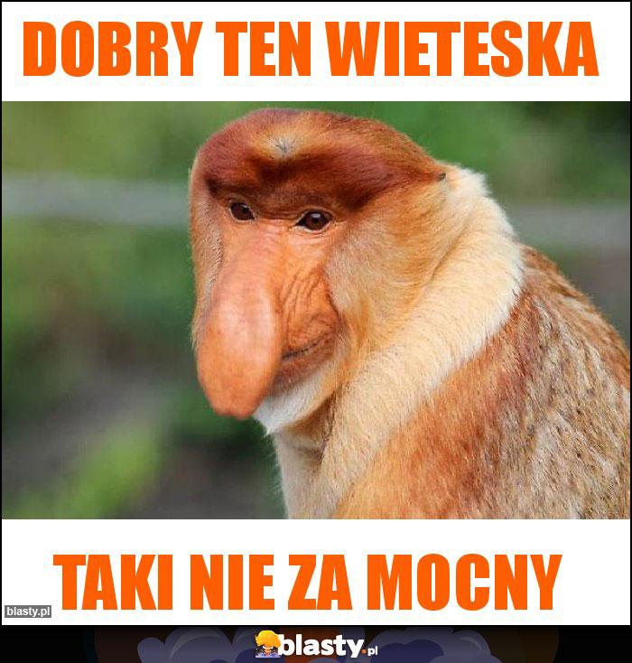 Dobry ten Wieteska