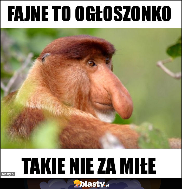 FAJNE TO OGŁOSZONKO