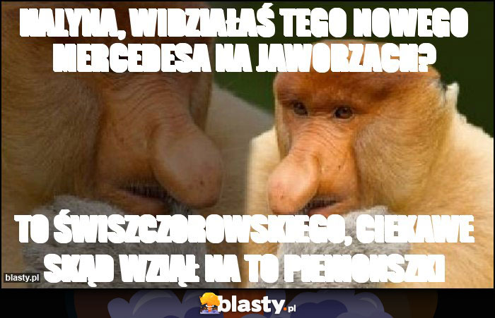 Halyna, Widziałaś tego nowego Mercedesa na Jaworzach?